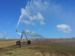 #94 - Fazenda para Venda em Irajuba - BA - 1