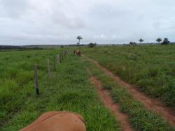 #97 - Fazenda para Venda em Juína - MT - 3