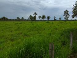 #101 - Fazenda para Venda em Novo Progresso - PA - 1