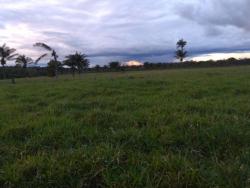 #101 - Fazenda para Venda em Novo Progresso - PA - 3