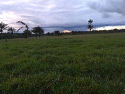 #101 - Fazenda para Venda em Novo Progresso - PA