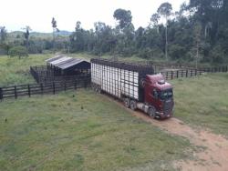 #103 - Fazenda para Venda em Novo Progresso - PA - 2