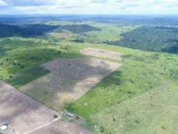 #81 - Fazenda para Venda em Novo Progresso - PA