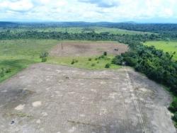 #81 - Fazenda para Venda em Novo Progresso - PA - 2