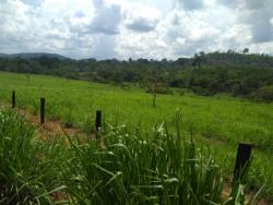 #107 - Fazenda para Venda em Novo Progresso - PA