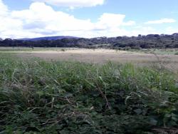 #107 - Fazenda para Venda em Novo Progresso - PA - 2