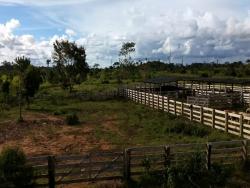 #108 - Fazenda para Venda em Novo Progresso - PA