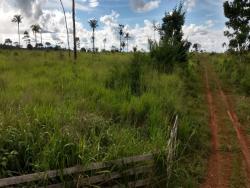 #108 - Fazenda para Venda em Novo Progresso - PA - 2