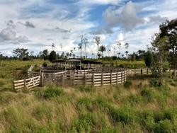 Fazenda para Venda em Novo Progresso - 4
