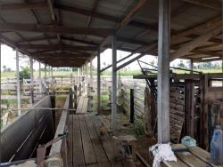 Fazenda para Venda em Novo Progresso - 5