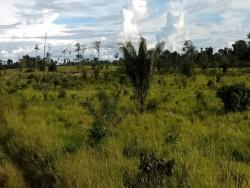 #108 - Fazenda para Venda em Novo Progresso - PA