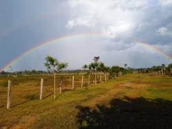 #110 - Fazenda para Venda em Trairão - PA - 2