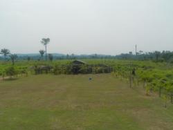 Fazenda para Venda em Trairão - 5