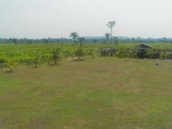 #110 - Fazenda para Venda em Trairão - PA - 1