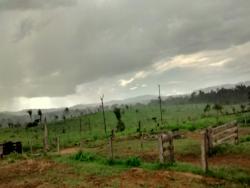 #29 - Fazenda para Venda em Novo Progresso - PA